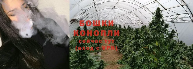 Бошки Шишки White Widow  где купить наркотик  Новая Ляля 